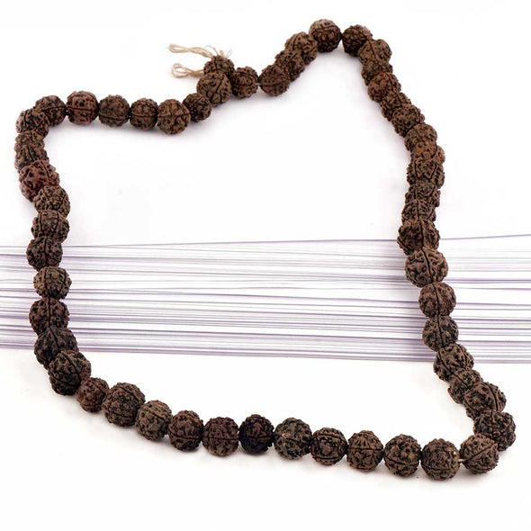 Meditation Necklace with Rudrakshaa Beads, India