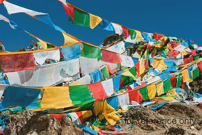 Tibetan /Buddhist Prayer Flags. Himalayas, India